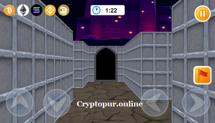 Crypto Maze 3D Game